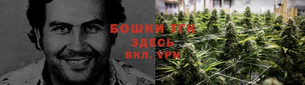 apvp Бронницы