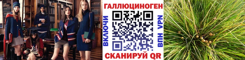 дарнет шоп  Салават  Галлюциногенные грибы Psilocybine cubensis 