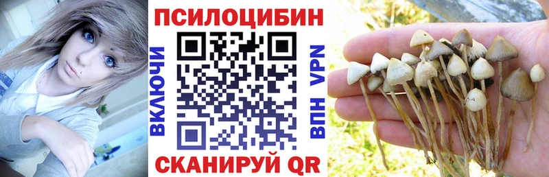 Псилоцибиновые грибы Psilocybine cubensis Салават